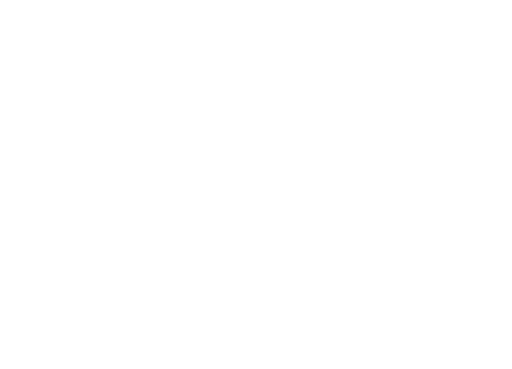 Logo Promostelar